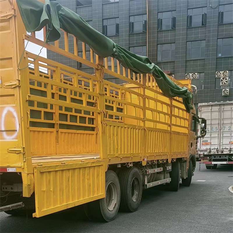 河北邢台任县至宜宾货运专线一站式物流服务，让货物畅行无忧